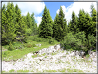 foto Panorama dal Monte Verena